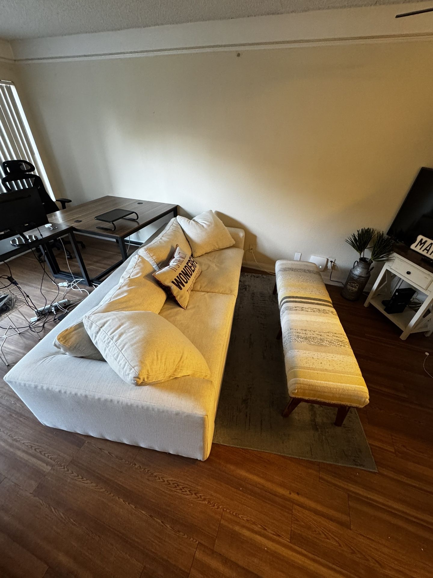 Living Spaces Couch