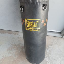 Punching Bag