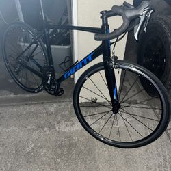 Giant contend 3 2021 M