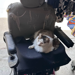 Two Power Chairs with charges