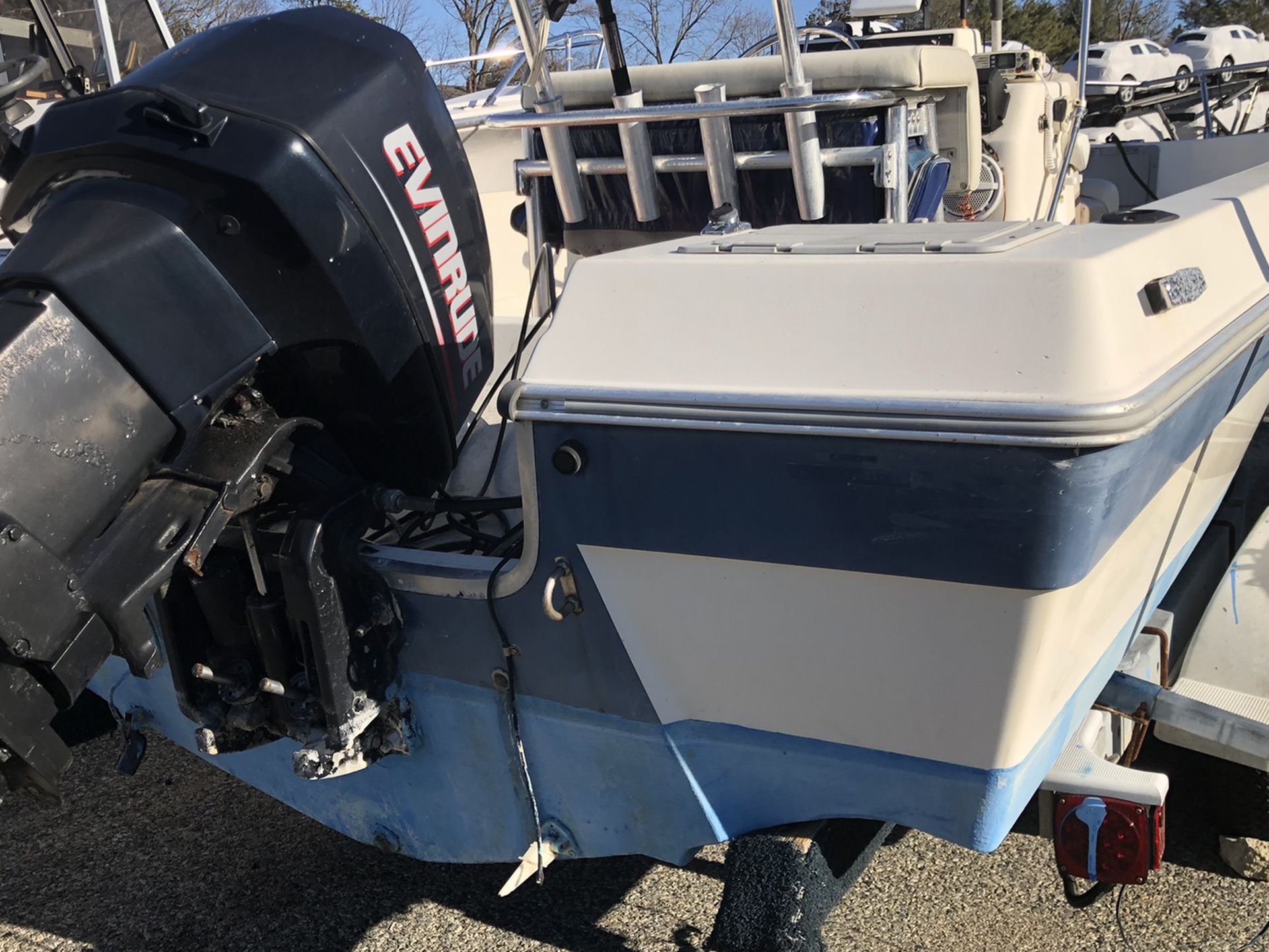 17ft With Evinrude