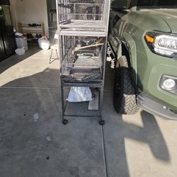 Bird Cages 