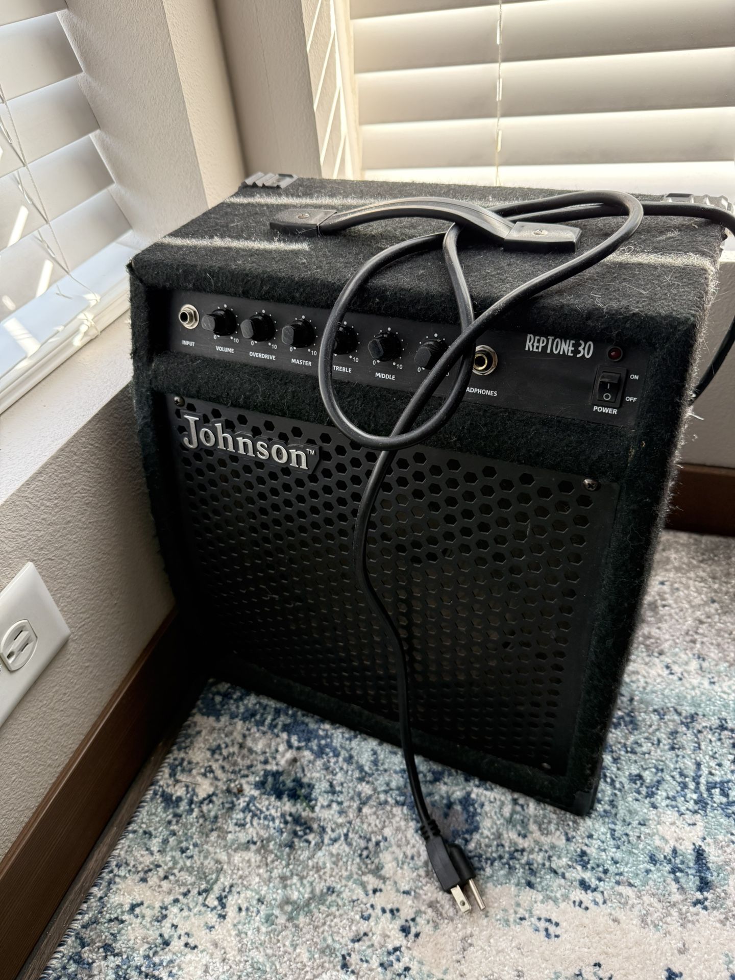 Johnson Reptone 30 Amp