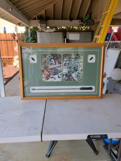 Bev Doolittle artwork framed