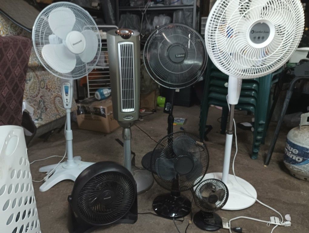 Fans