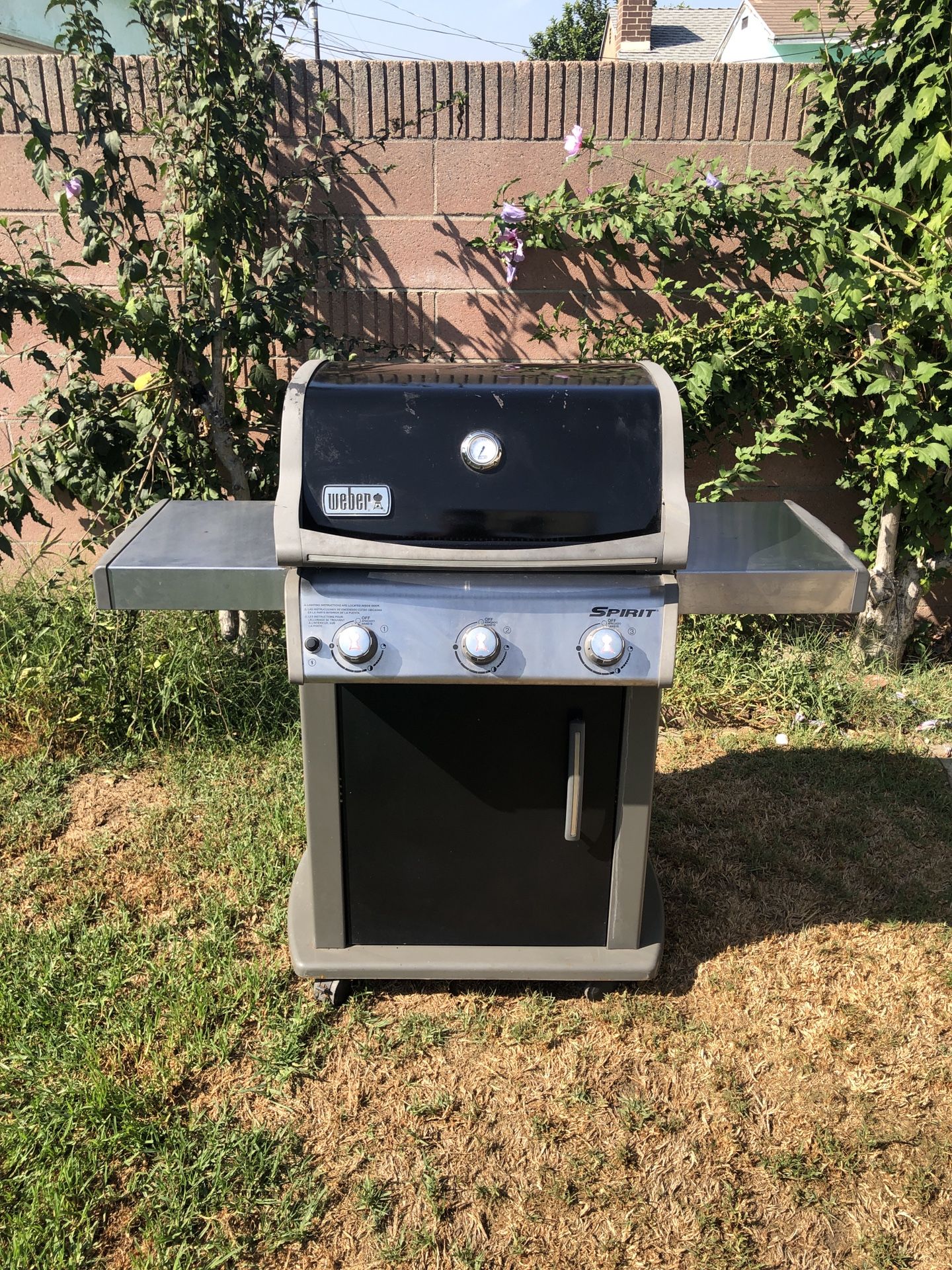 BBQ grill