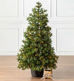 Balsam Hill 4' Artificial Christmas Tree Baby Yukon Spruce Potted Tree Clear LED Lights