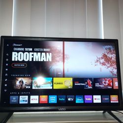 Vizio 24" Smart Cast T.V. 