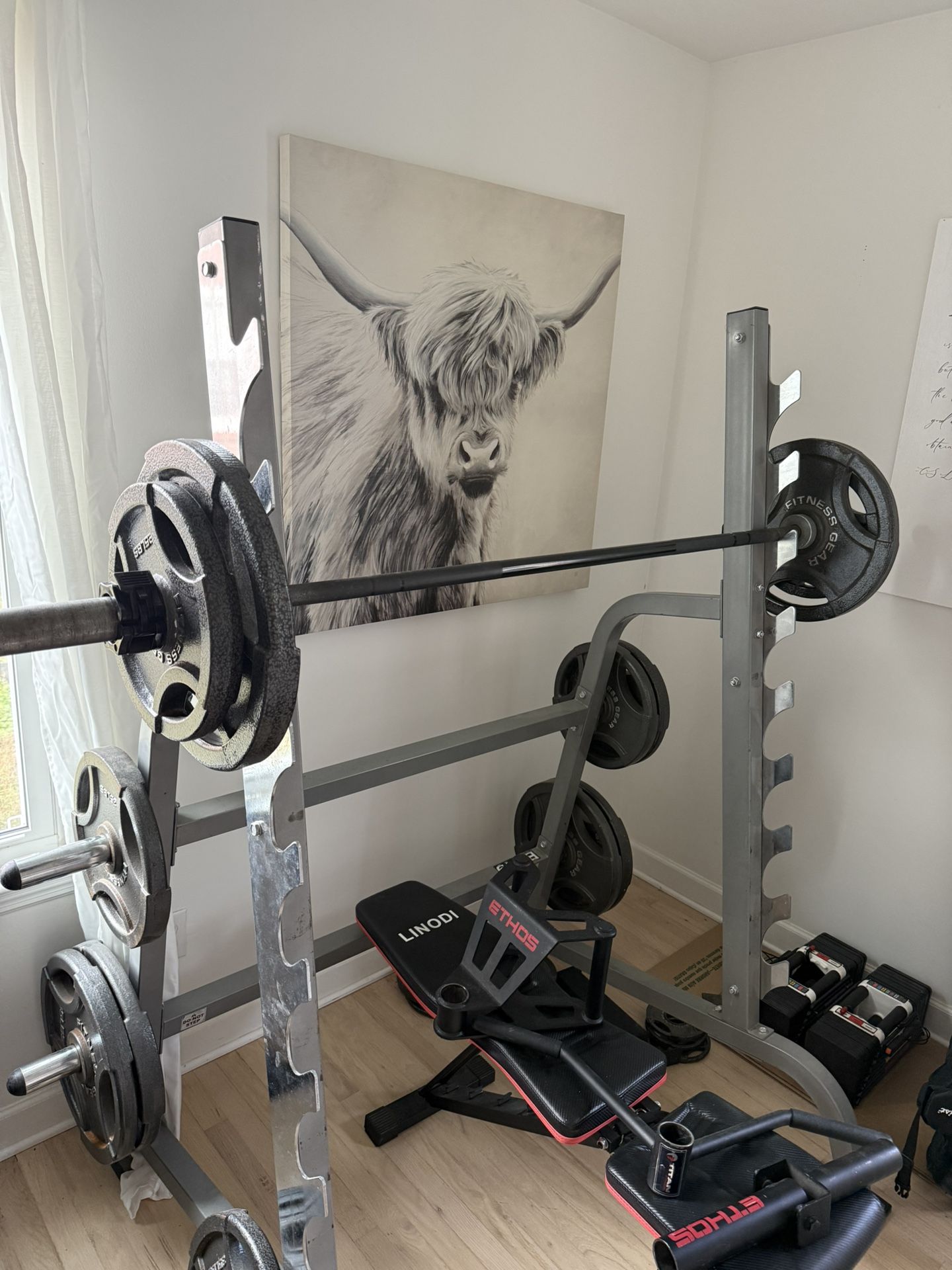 Complete Home Gym Setup – Great Condition, Quality Equipment
