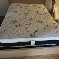 Queen Mattress And Box Spring New