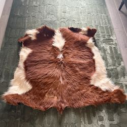 Authentic Small Cow Hide Rug / Hanging Piece 