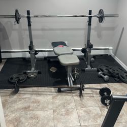 Bench Press And Weights And Dumbbells