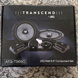 Brand New Transcend by ATG  250 Watt 6.5 Component Set