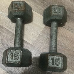 15lbs Dumbbells 