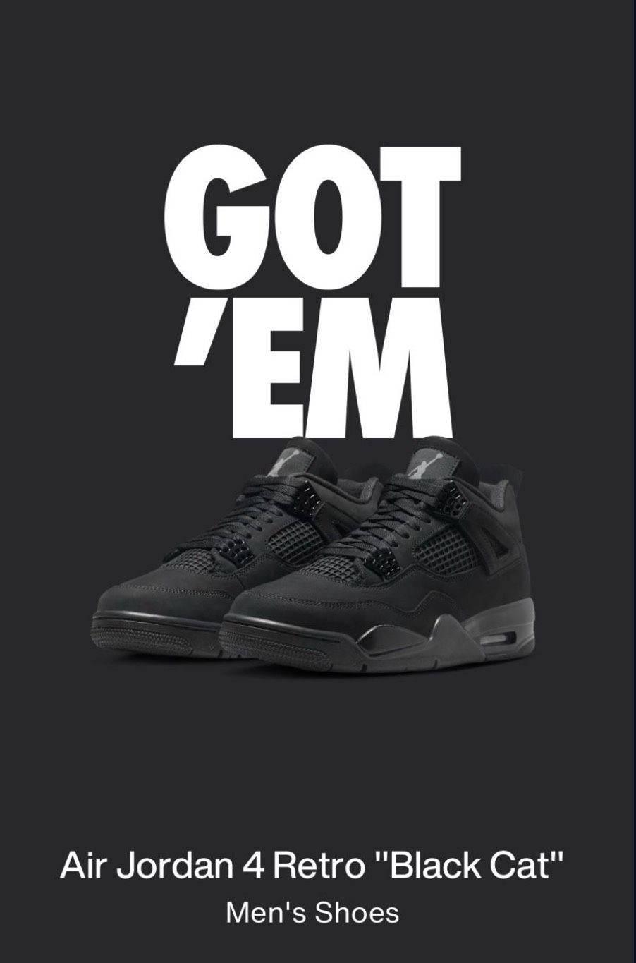 Air Jordan Retro 4 Black Cat