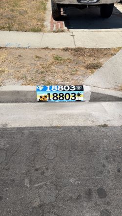 Custom Made Curb Design (Rams/Raiders/Sunset)