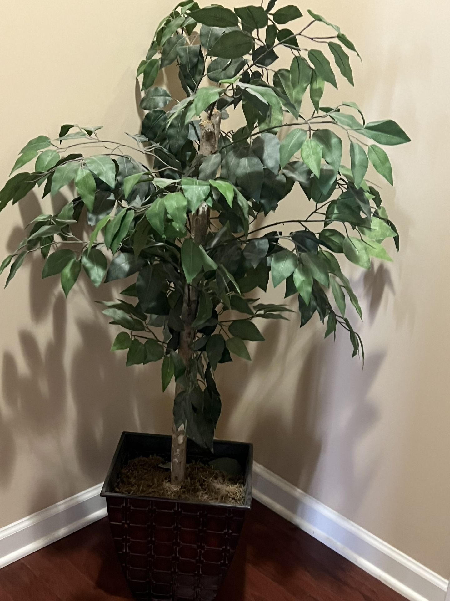 Artificial Silk Plant