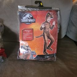 Halloween Costume 