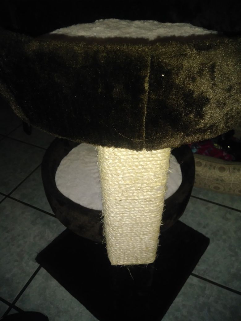 Cat scratching post/bed