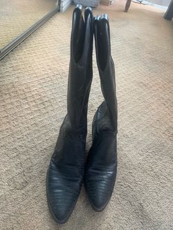 Dan Post boots