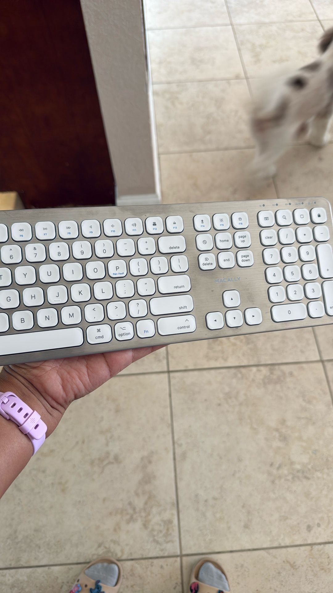 FREE Macally Bluetooth Keyboard
