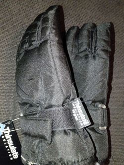 Thinsulate insulation gloves brand new still has tags
