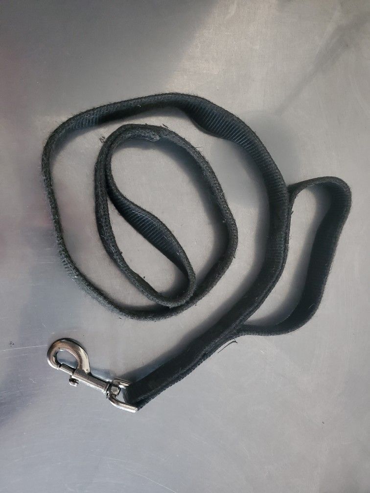 Leash With 2 Handles