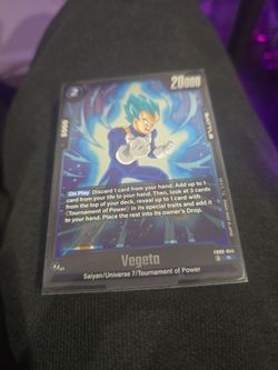 Vegeta fb09-044