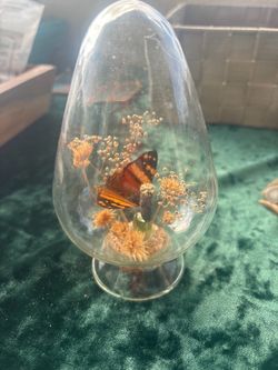 Handmade butterfly cloche floral enclosure