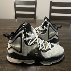 Lebron James Sneakers 