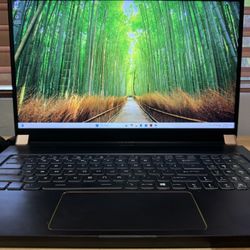 MSI GS75 Stealth Gaming Laptop + Windows 11 Pro