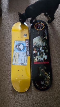 Slayer Plan B Blind Skateboard Wu-Tang Clan Wu Tang