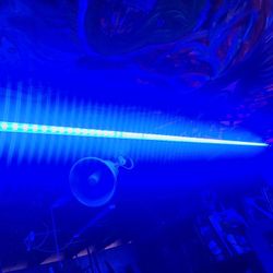 6ft All Weather LED Blue Light