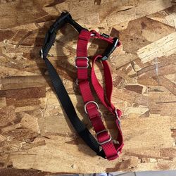 Small Dog harness