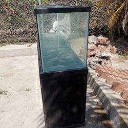 Fish Tank 