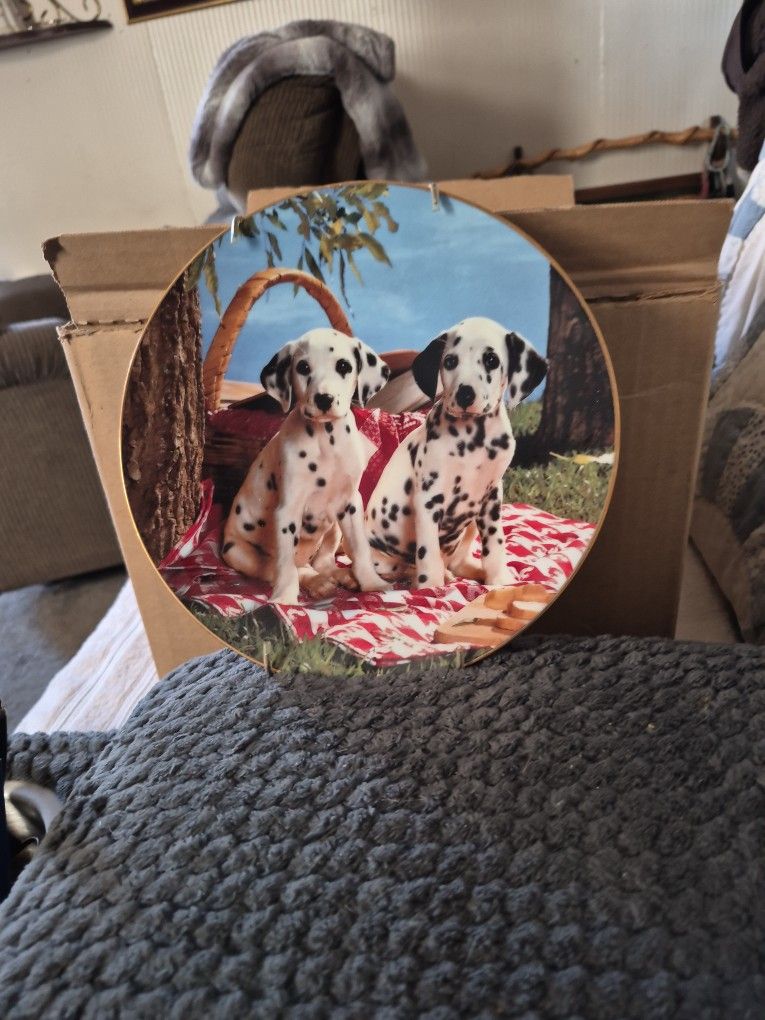 You Are Buying A Collection Plate  Said On Back Here's a Good Spot