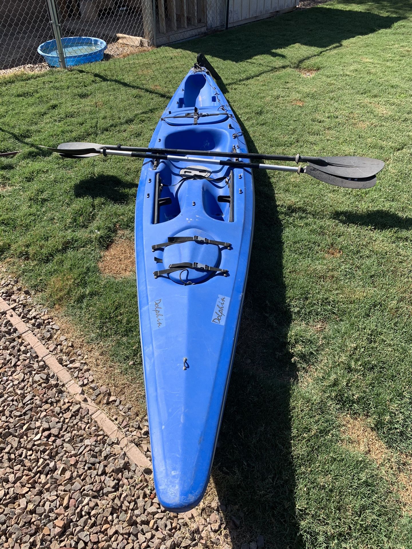 Necky Kayak/Dolphin for Sale in Waddell, AZ OfferUp