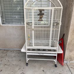 Bird Cage 