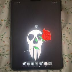 iPad Pro 11-inch 256gb