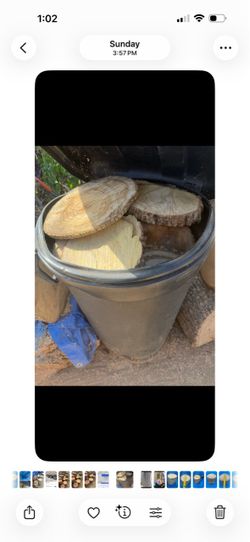 Natural wood pieces for Decoration or for firewood