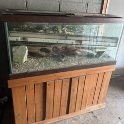 Fish Tank With Everything 