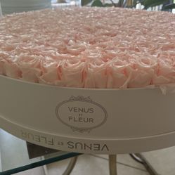 Roses Venus Et Fleur