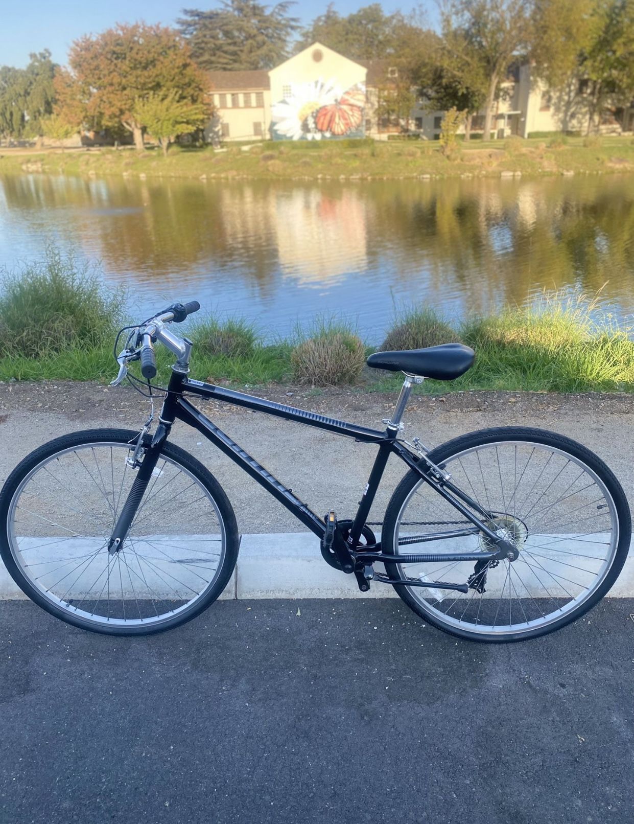 Schwinn 700c/38 City Hybrid Bike Gray