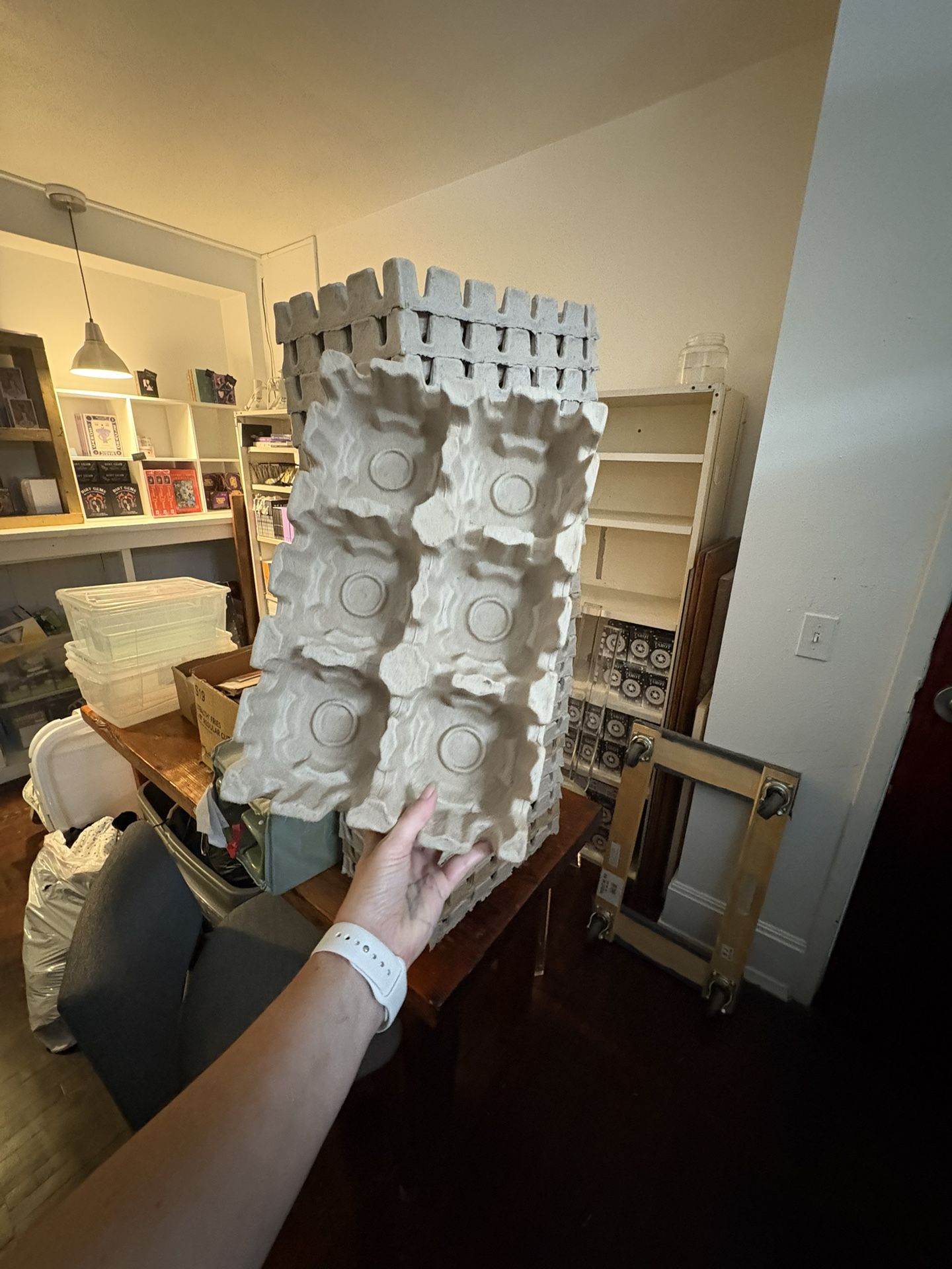 Free Plant Start Cardboard Trays
