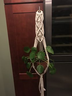 Plant hangers