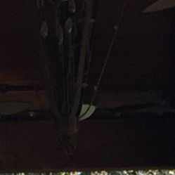 Wrought Iron Chandelier