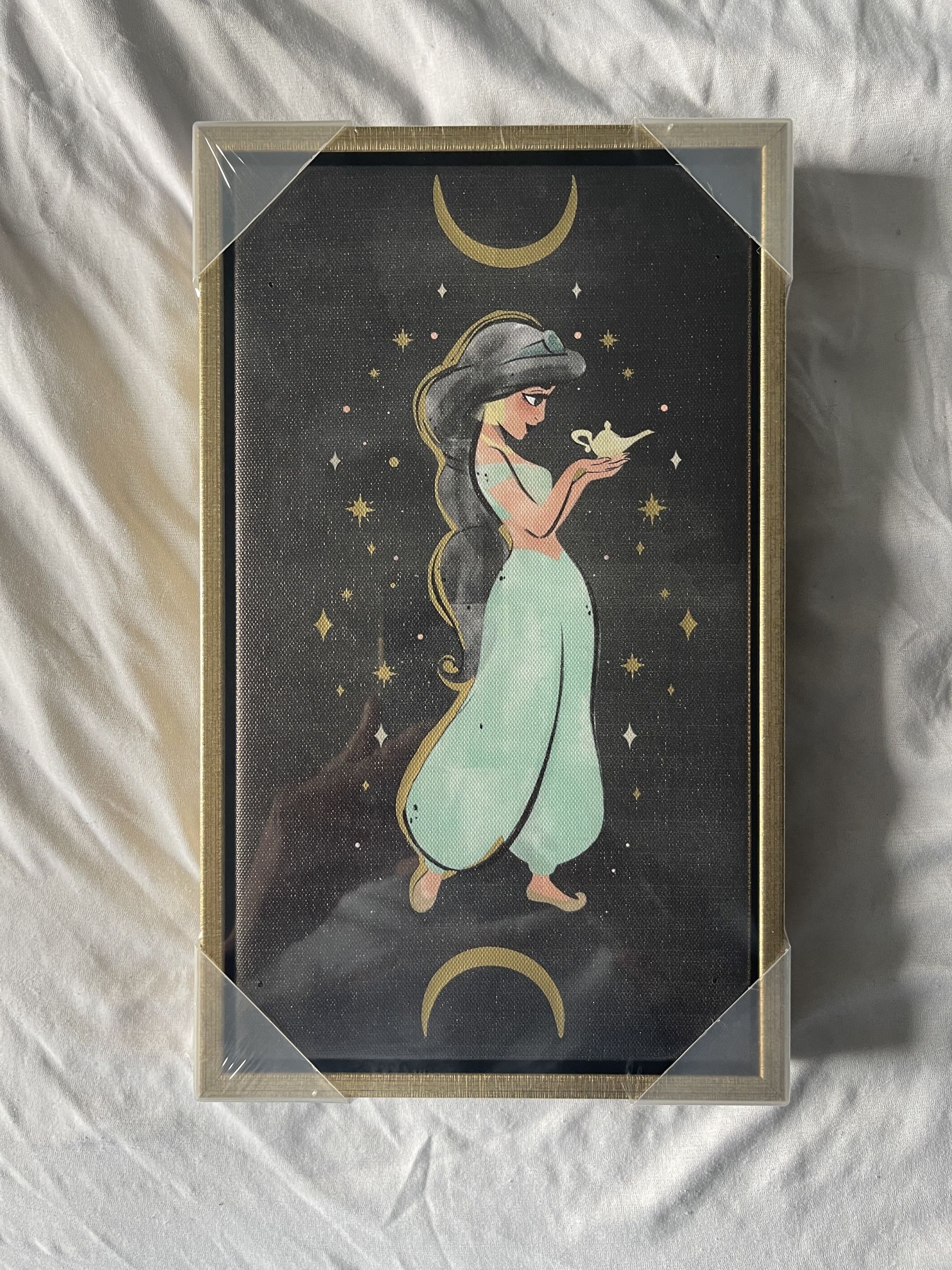 Jasmine Framed Wall Art on Canvas – Aladdin