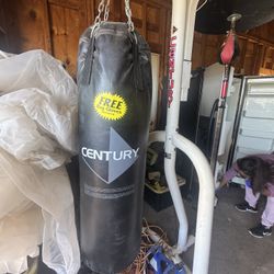 Punching Bag & Stand 