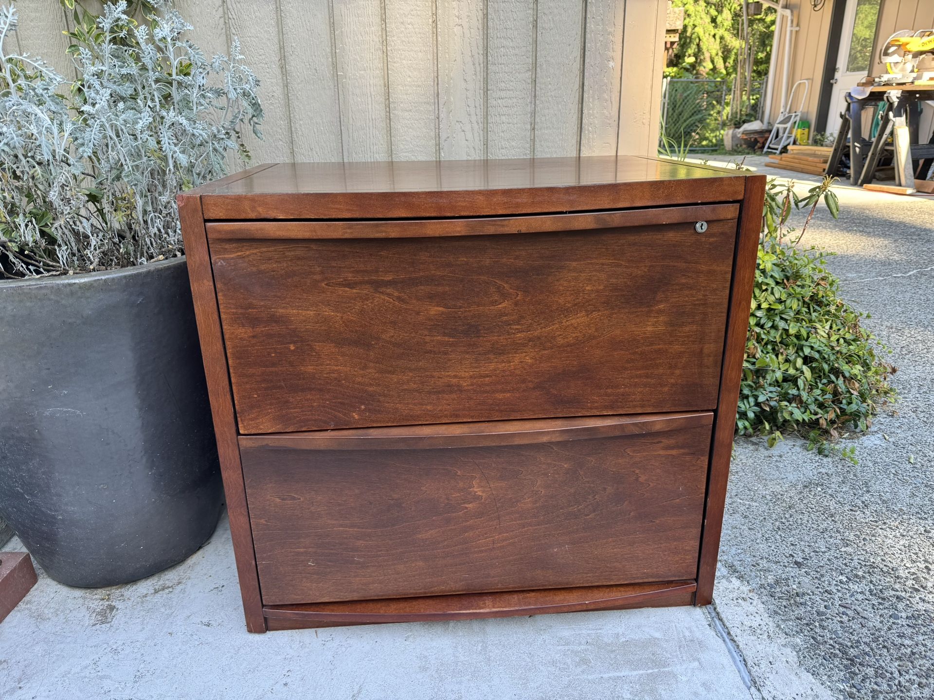 Solid Wood Cabinet