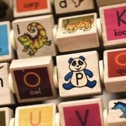 Activity Cube Zoo Animals Theme 